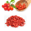 Bagas de goji bio com zero pesticida / baixo teor de açúcar wolfberry chinês em Ningxia